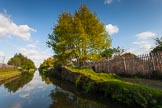 BCN Marathon Challenge 2013: Factory bridge to a former canal basin on the BCN New Main Line at Tipton, between Ryland Aqueduct and Dudley Port Junction..
Birmingham Canal Navigation,


United Kingdom,
on 25 May 2013 at 18:31, image #282