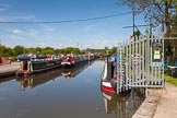 BCN Marathon Challenge 2013: Longwood Boat Club at the Daw End Branch, the canal lined with boats after the finish of the BCN Marathon Challenge..
Birmingham Canal Navigation,


United Kingdom,
on 26 May 2013 at 14:31, image #419