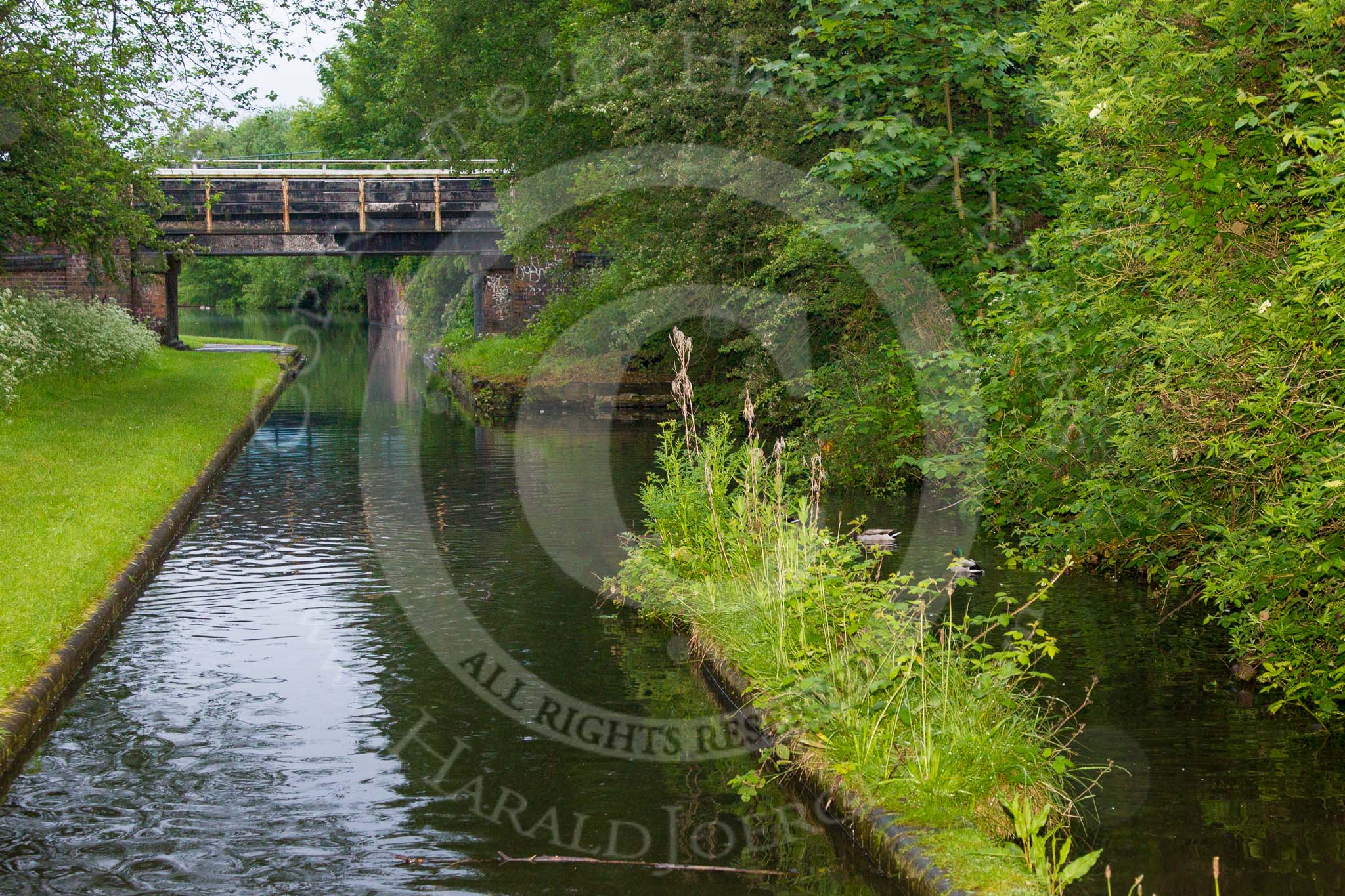 BCN Marathon Challenge 2014: Dudley No 2 Canal on the western side of Gosty Hill Tunnel. On the right are the remains of a tug house, from 1913 to the 1930 a tug was used to pull boats through the tunnel.
Birmingham Canal Navigation,


United Kingdom,
on 25 May 2014 at 05:56, image #194