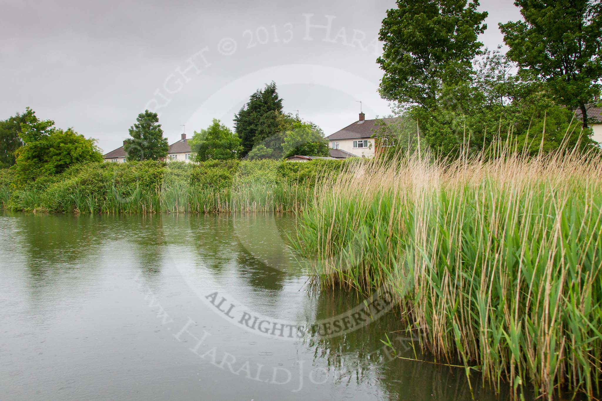 BCN Marathon Challenge 2014: The site of the Pearson Colliery basin on the Dudley No 2 Canal, now a winding hole.
Birmingham Canal Navigation,


United Kingdom,
on 25 May 2014 at 06:14, image #195