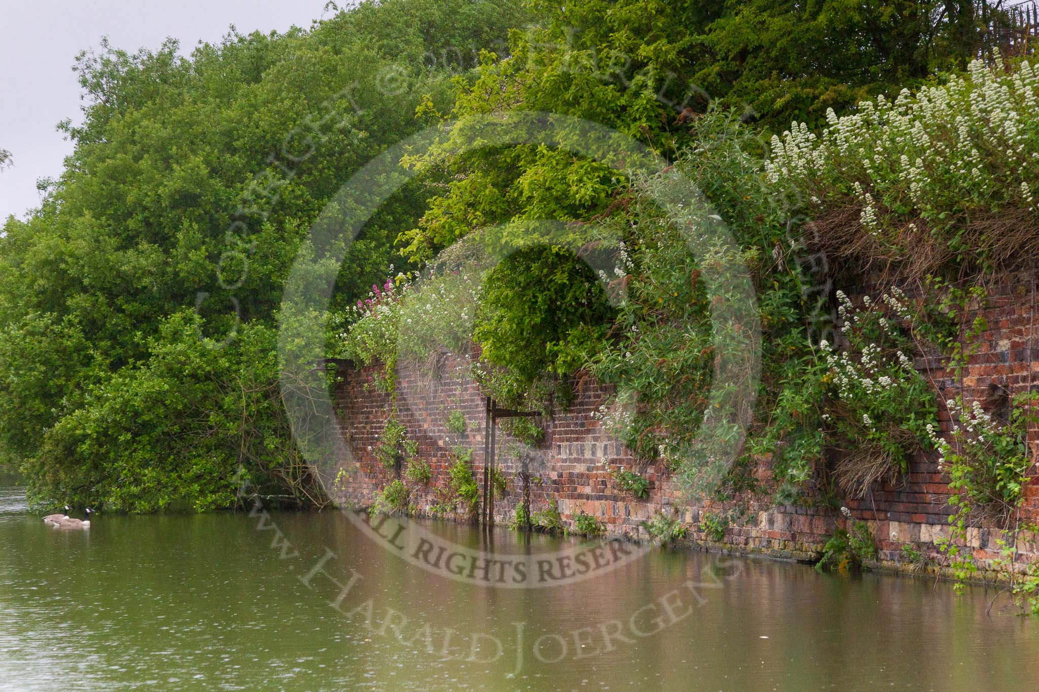 BCN Marathon Challenge 2014: The site of the former Netherton Iron Works on the Dudley No 1 Canal, between  Bishtons Bridge and Primrose Bridge.
Birmingham Canal Navigation,


United Kingdom,
on 25 May 2014 at 06:52, image #208
