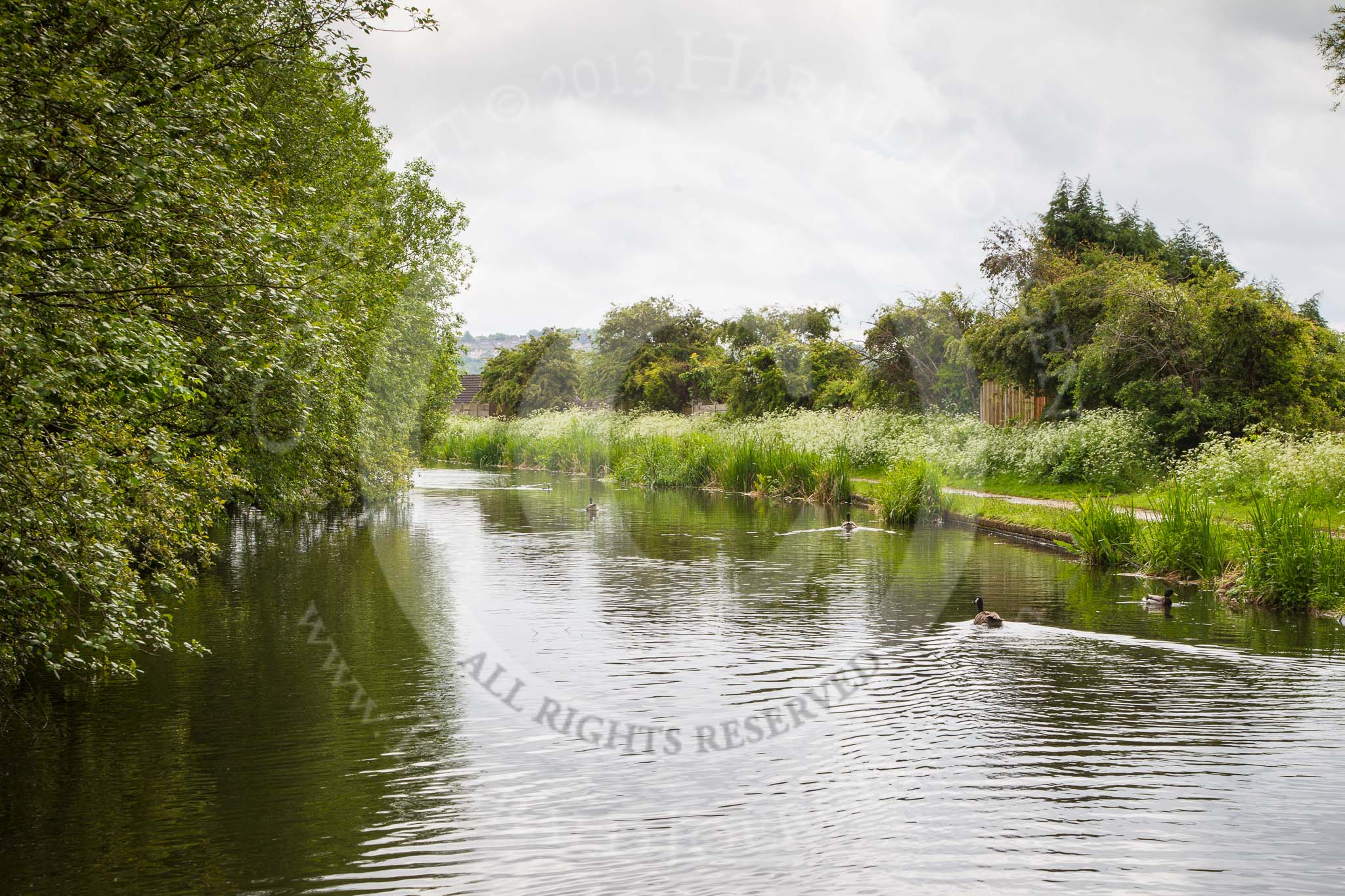 BCN Marathon Challenge 2014: The rain has stopped - Dudley No 1 Canal near Primrose Bridge.
Birmingham Canal Navigation,


United Kingdom,
on 25 May 2014 at 10:21, image #224