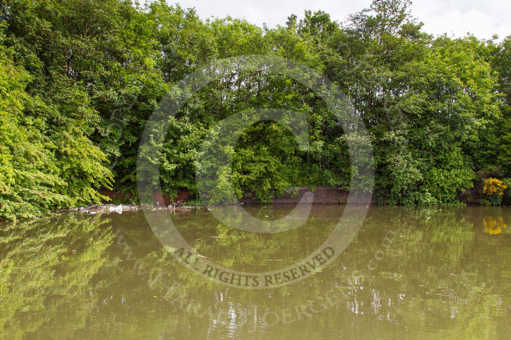 BCN Marathon Challenge 2014: Former wharf at the site of Netherton Iron Works on the Dudley No 2 Canal between Primrose Bridge and Bishtons Bridge.
Birmingham Canal Navigation,


United Kingdom,
on 25 May 2014 at 10:24, image #225