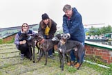BCN Marathon Challenge 2014: BCN Marathon Challenge participants Sue, Sarah and Andy with hounds Archie, Rosie, Henry, and Herbie. They raised £2,400 during the event for the Perry Bar Retired Greyhound Trust and Greyhound Home Essex..
Birmingham Canal Navigation,


United Kingdom,
on 25 May 2014 at 14:17, image #240