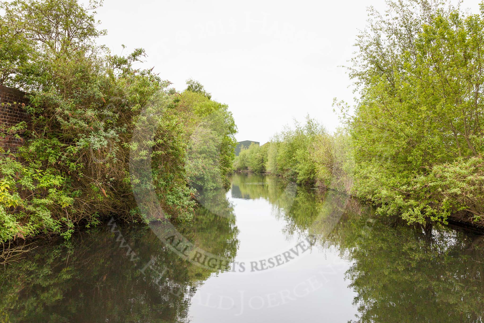 BCN 24h Marathon Challenge 2015: Icknield Port Loop looking green and remote, with the remains of the old industry out of view.
Birmingham Canal Navigations,



on 23 May 2015 at 08:44, image #11