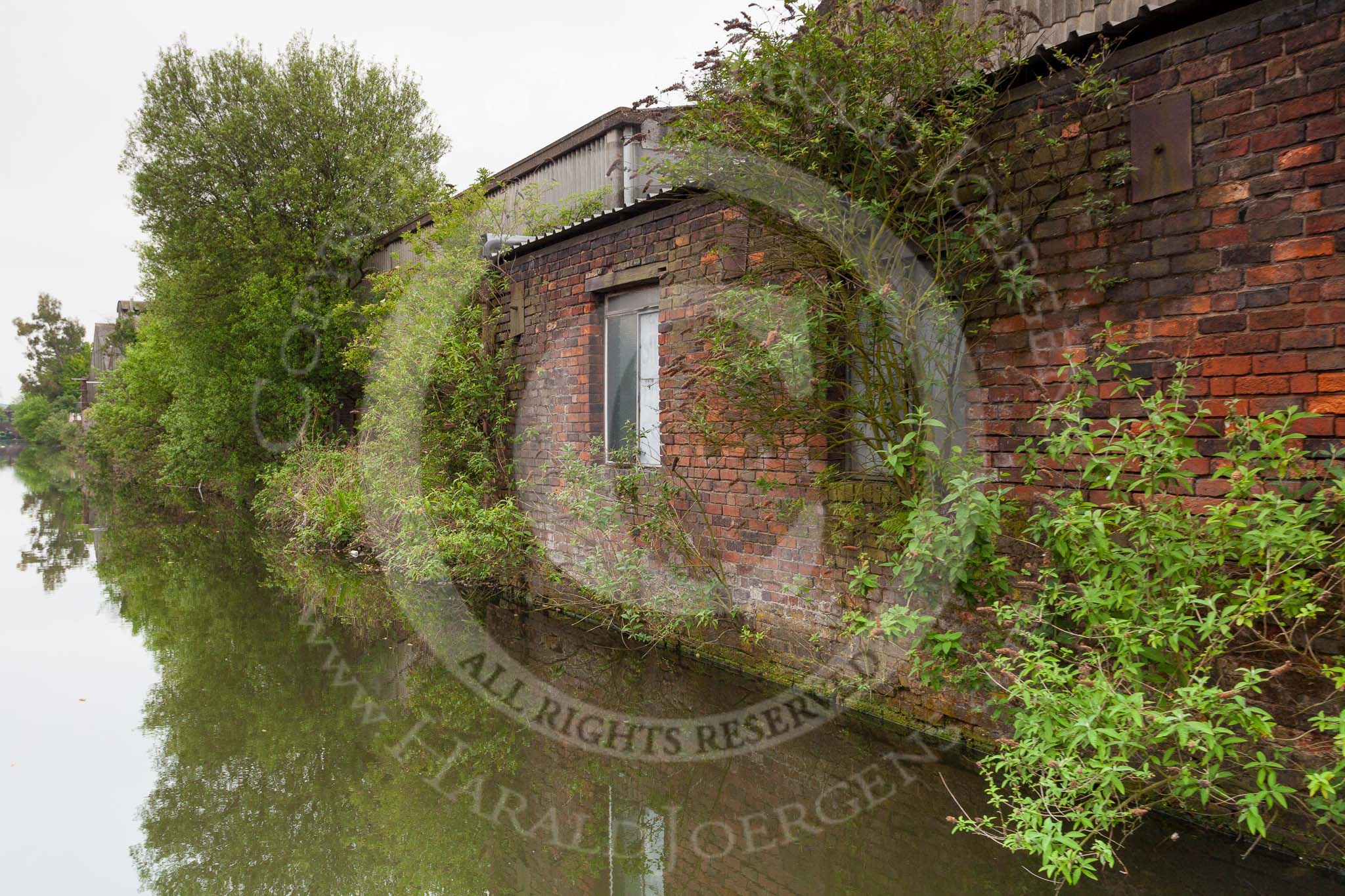 BCN 24h Marathon Challenge 2015: Trees growing out of the walls of an old factory on the BCN Engine Arm, but the building seems to be used..
Birmingham Canal Navigations,



on 23 May 2015 at 10:48, image #76