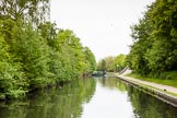 BCN 24h Marathon Challenge 2015: A BCN Marathon Challenge participant at Hockley Port Junction on the Soho Loop.
Birmingham Canal Navigations,



on 23 May 2015 at 09:09, image #33