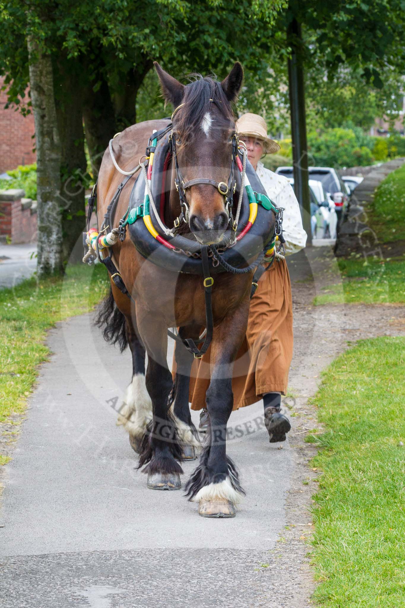 : Sue Day (Horseboating Society) walking horse Bilbo past Marple lock 15 whilst narrowboat Maria is in the lock.




on 03 July 2015 at 18:14, image #96