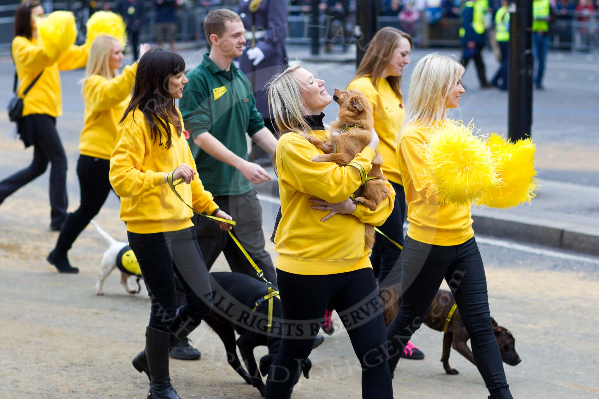 The Lord Mayor's Show 2011: Dogs Trust (http://www.dogstrust.org.uk/)..
Opposite Mansion House, City of London,
London,
-,
United Kingdom,
on 12 November 2011 at 12:00, image #599