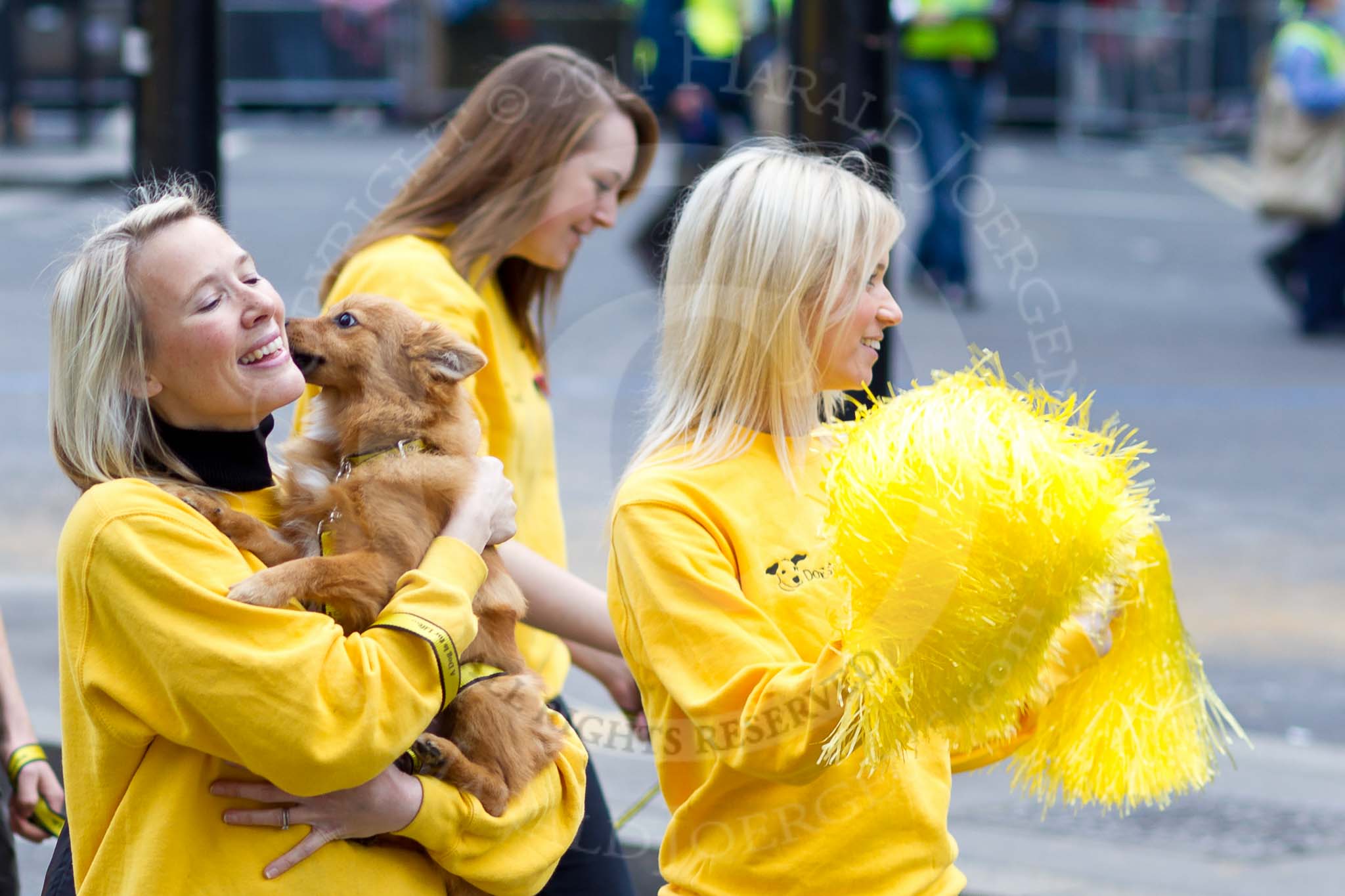 The Lord Mayor's Show 2011: Dogs Trust (http://www.dogstrust.org.uk/)..
Opposite Mansion House, City of London,
London,
-,
United Kingdom,
on 12 November 2011 at 12:00, image #600