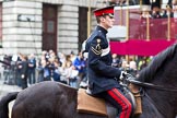 The Lord Mayor's Show 2011: A Riding Instructor of The Life Guards..
Opposite Mansion House, City of London,
London,
-,
United Kingdom,
on 12 November 2011 at 10:50, image #28