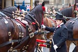 The Lord Mayor's Show 2011: Four of the six shire horses that pull the stage coach in which the new Lord Mayor travels during the show, here on arrival at Mansion House. In front one of the coachmen..
Opposite Mansion House, City of London,
London,
-,
United Kingdom,
on 12 November 2011 at 10:52, image #45