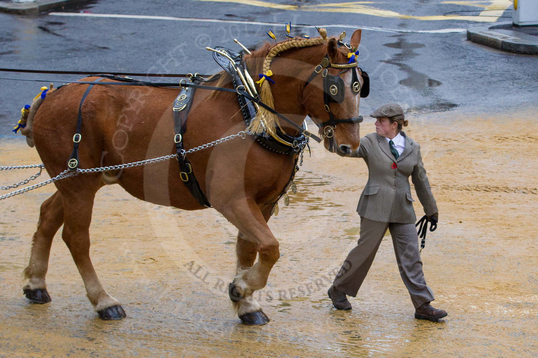 Lord Mayor's Show 2012: Entry 14 - Worshipful Company of Farriers..
Press stand opposite Mansion House, City of London,
London,
Greater London,
United Kingdom,
on 10 November 2012 at 11:06, image #300