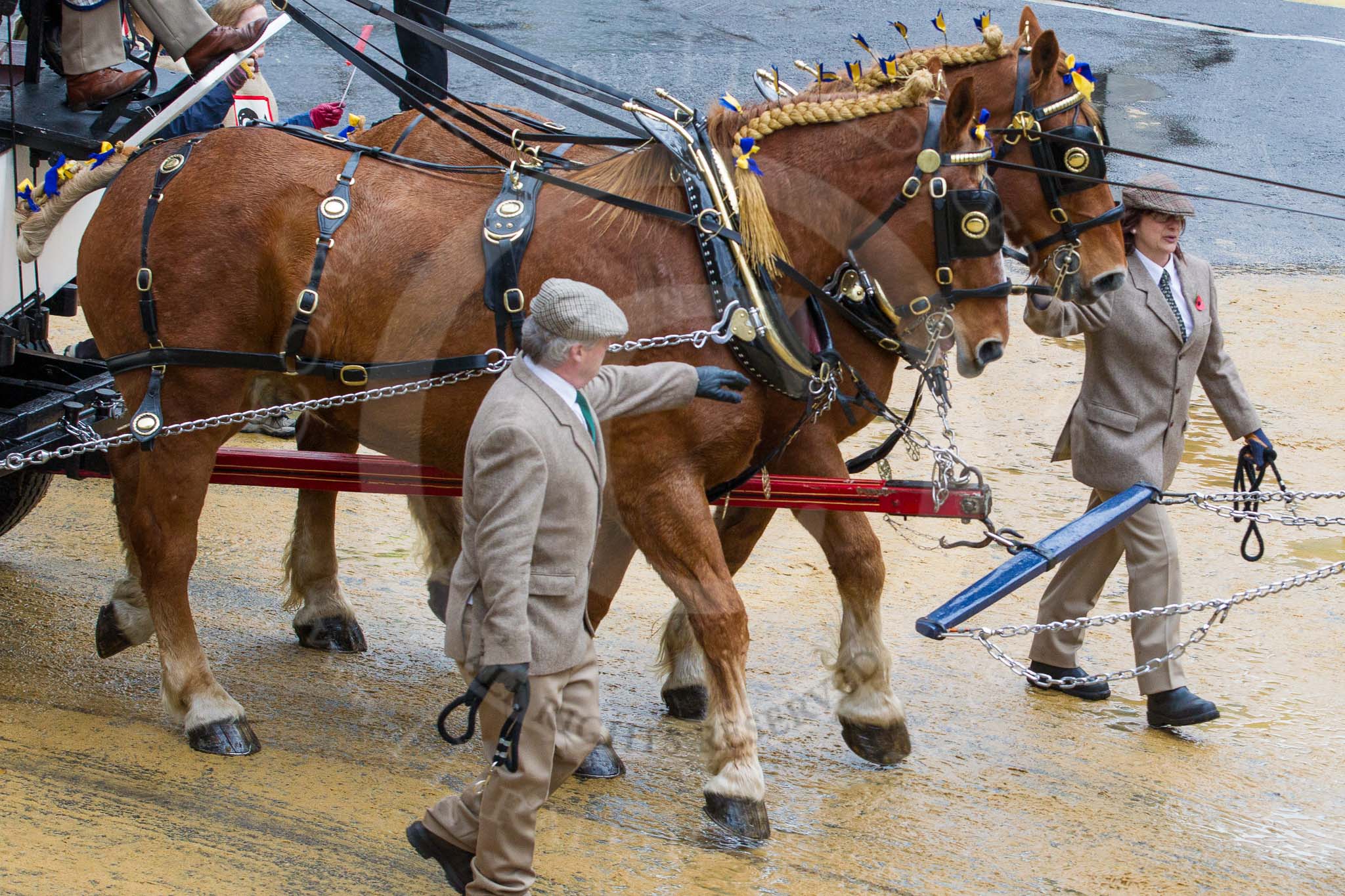 Lord Mayor's Show 2012: Entry 14 - Worshipful Company of Farriers..
Press stand opposite Mansion House, City of London,
London,
Greater London,
United Kingdom,
on 10 November 2012 at 11:06, image #302