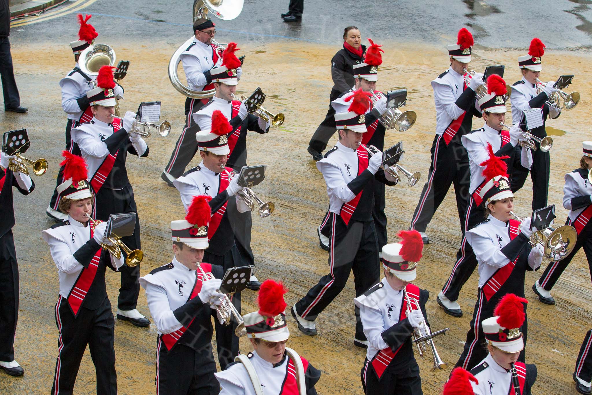 Lord Mayor's Show 2012: Entry 42 - Hertfordshire Showband, one of the most successful UK showbands: www.hertfordshire-showband.org..
Press stand opposite Mansion House, City of London,
London,
Greater London,
United Kingdom,
on 10 November 2012 at 11:18, image #596
