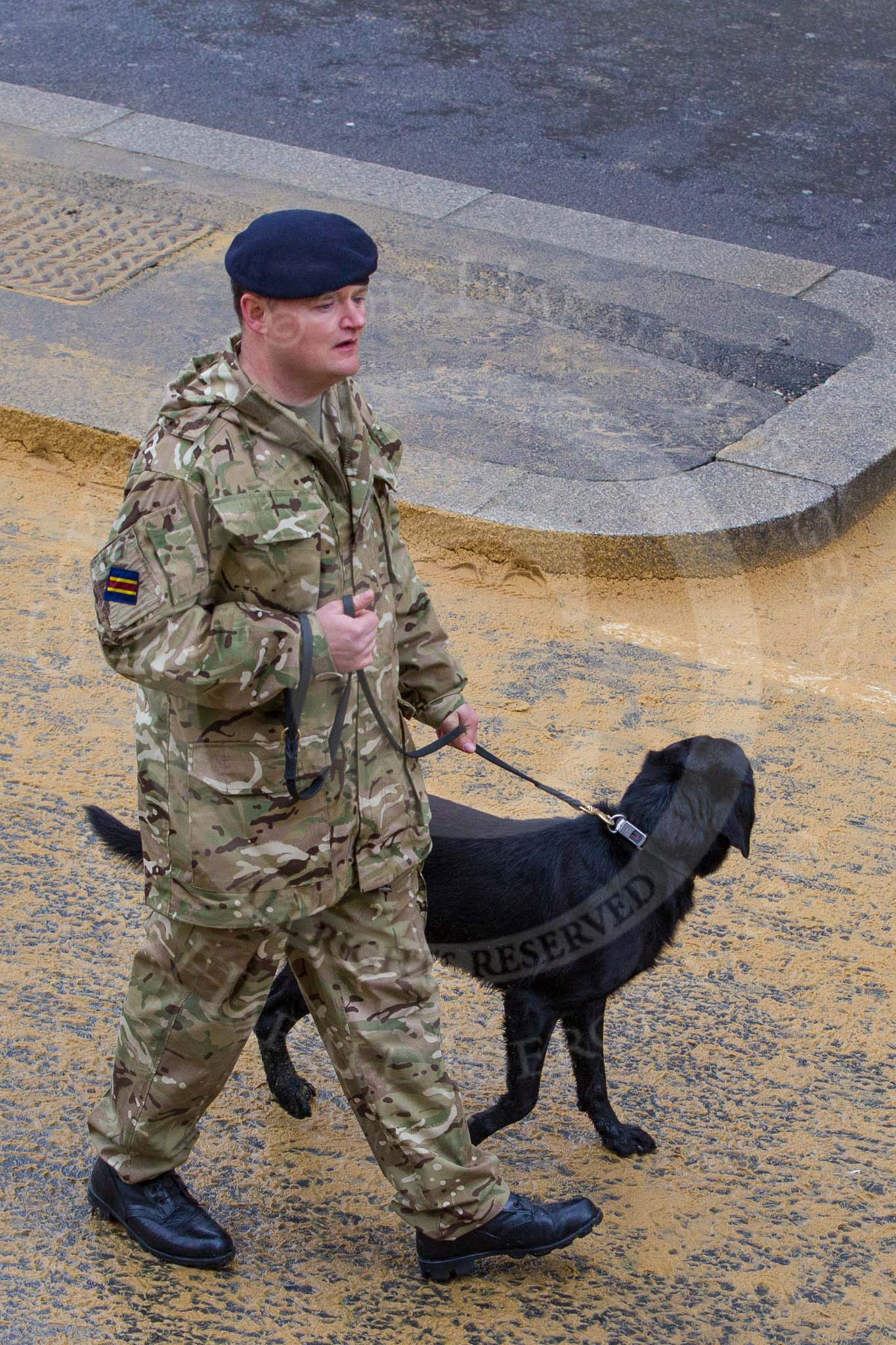 Lord Mayor's Show 2012: Entry 53 - 221 Field Squadron (Explosive Ordnance Disposal) (V)..
Press stand opposite Mansion House, City of London,
London,
Greater London,
United Kingdom,
on 10 November 2012 at 11:23, image #709