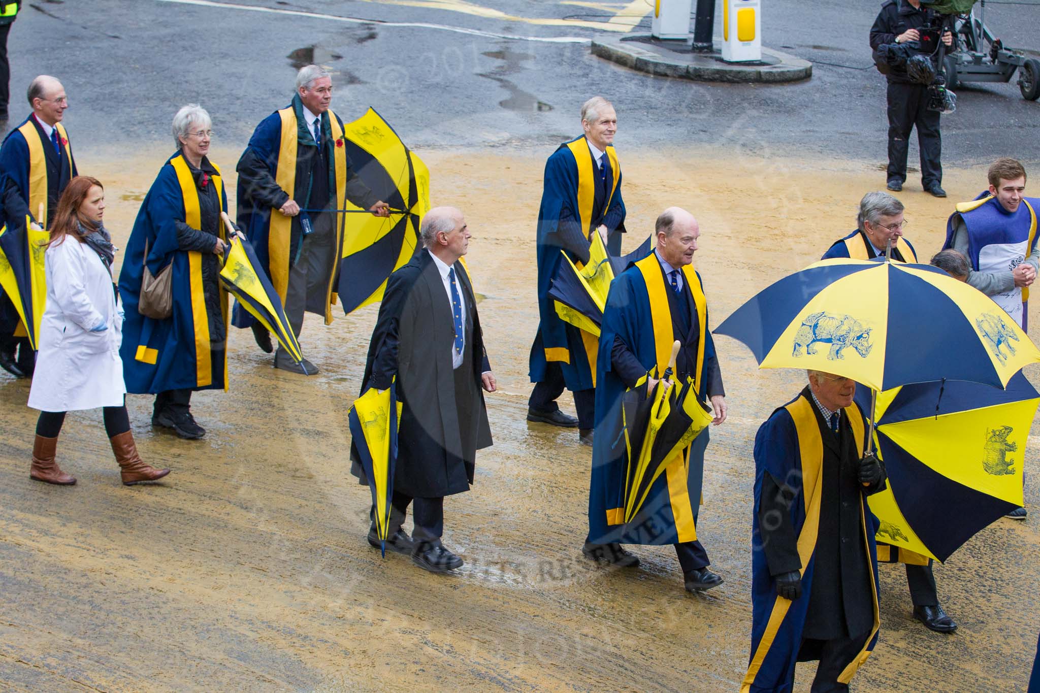 Lord Mayor's Show 2012: Entry 57 -  Worshipful Society of Apothecaries..
Press stand opposite Mansion House, City of London,
London,
Greater London,
United Kingdom,
on 10 November 2012 at 11:25, image #748