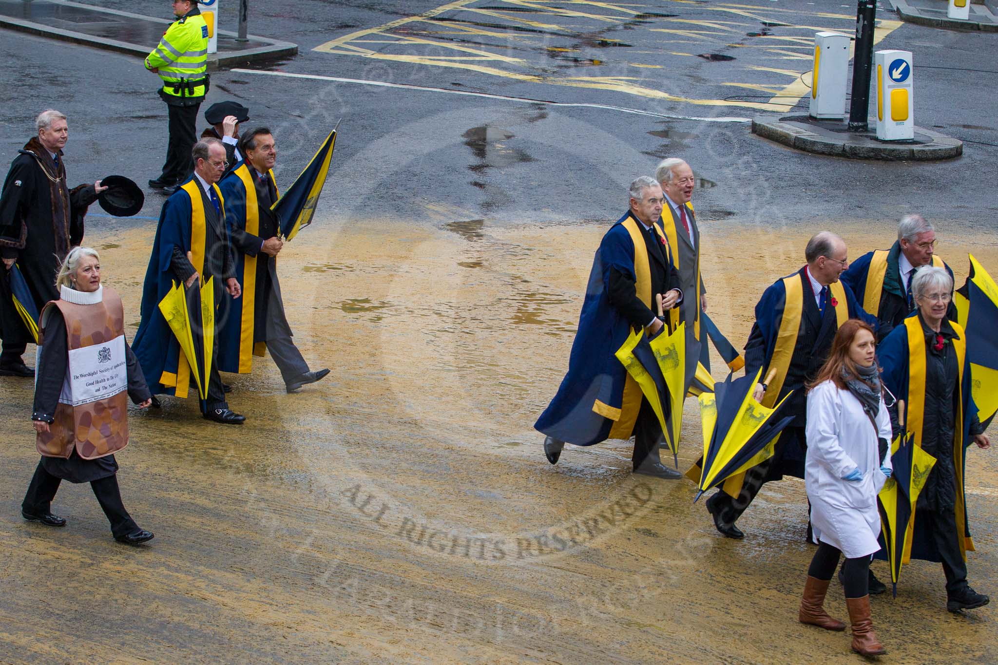 Lord Mayor's Show 2012: Entry 57 -  Worshipful Society of Apothecaries..
Press stand opposite Mansion House, City of London,
London,
Greater London,
United Kingdom,
on 10 November 2012 at 11:25, image #749
