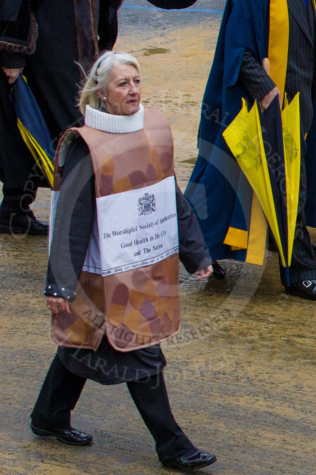 Lord Mayor's Show 2012: Entry 57 -  Worshipful Society of Apothecaries..
Press stand opposite Mansion House, City of London,
London,
Greater London,
United Kingdom,
on 10 November 2012 at 11:25, image #750