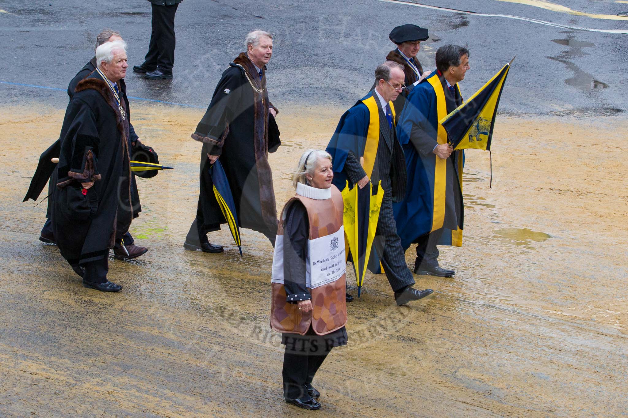 Lord Mayor's Show 2012: Entry 57 -  Worshipful Society of Apothecaries..
Press stand opposite Mansion House, City of London,
London,
Greater London,
United Kingdom,
on 10 November 2012 at 11:25, image #751