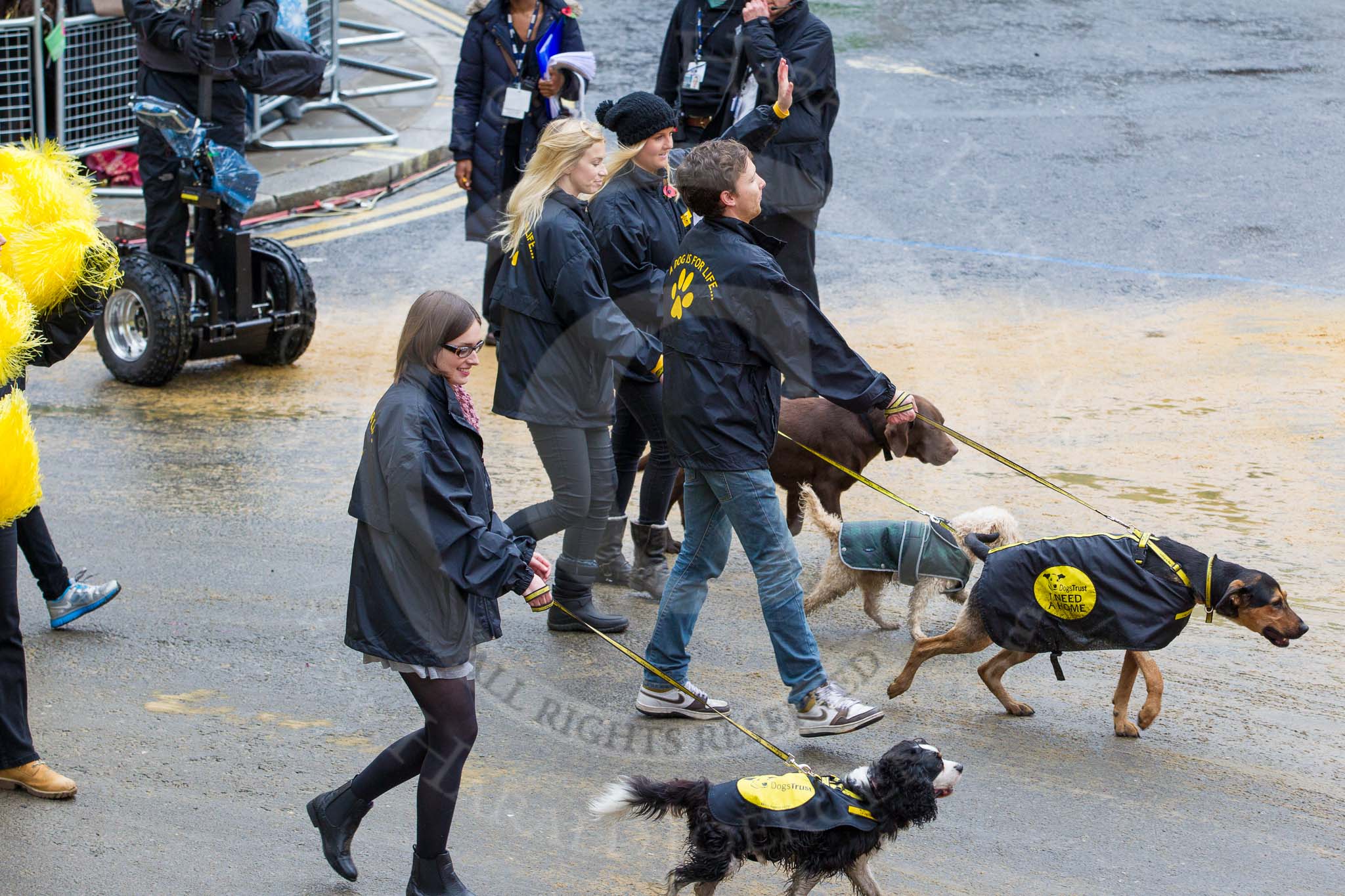 Lord Mayor's Show 2012: Entry 114 - Dogs Trust..
Press stand opposite Mansion House, City of London,
London,
Greater London,
United Kingdom,
on 10 November 2012 at 11:57, image #1645