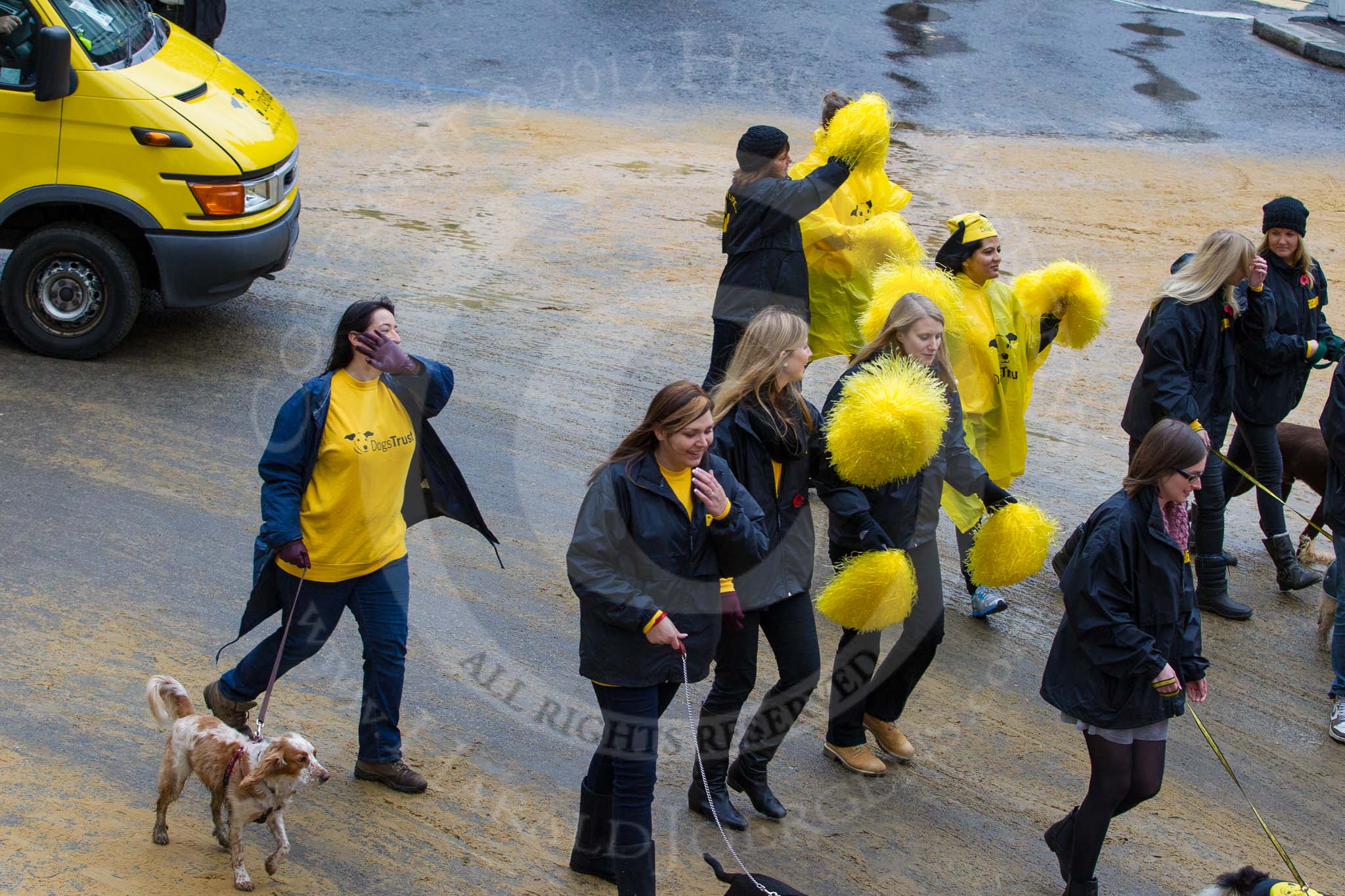 Lord Mayor's Show 2012: Entry 114 - Dogs Trust..
Press stand opposite Mansion House, City of London,
London,
Greater London,
United Kingdom,
on 10 November 2012 at 11:57, image #1650