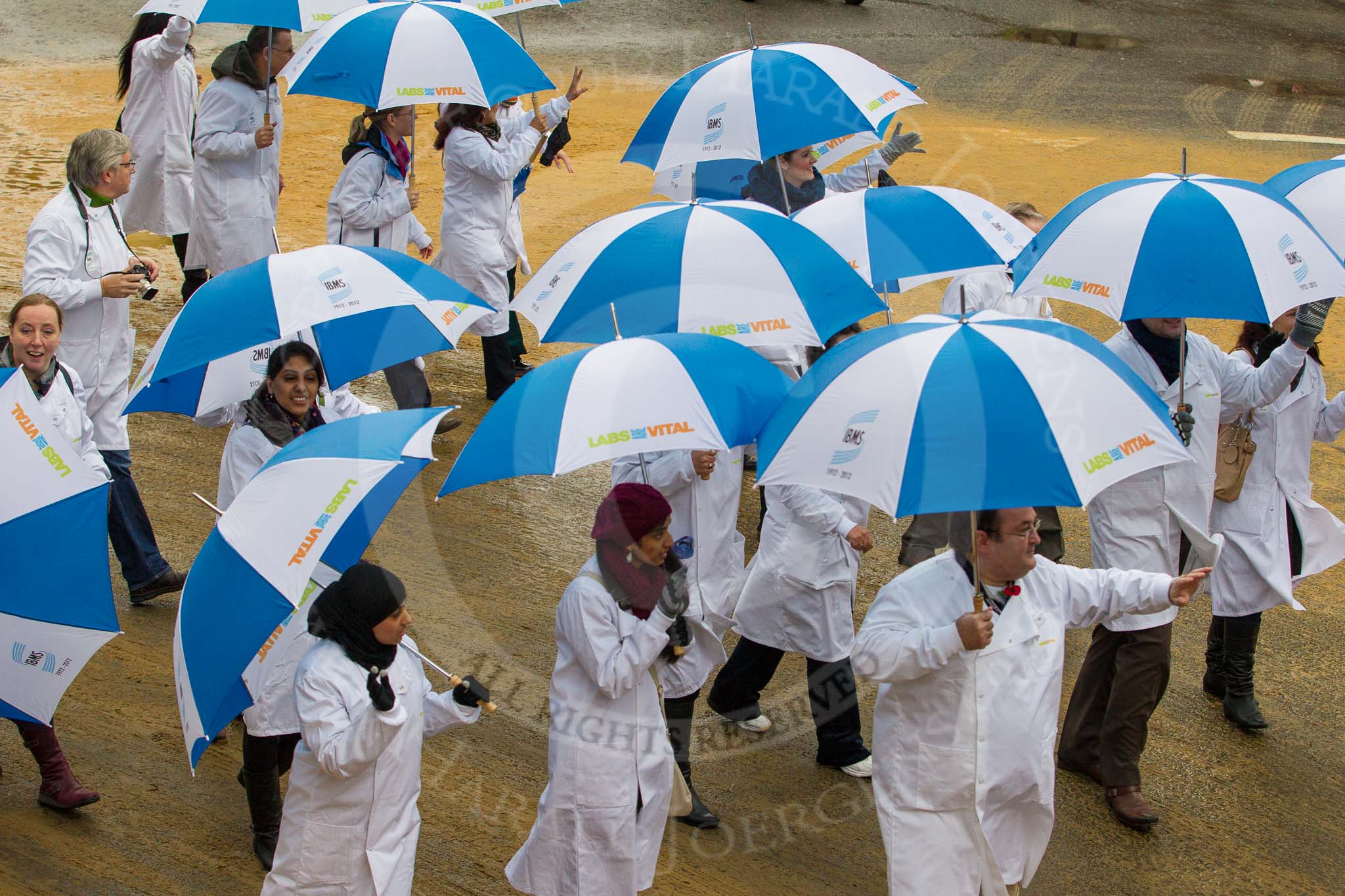 Lord Mayor's Show 2012: Entry 120 - IBMS Centenary, the Institute for Biomedical Science..
Press stand opposite Mansion House, City of London,
London,
Greater London,
United Kingdom,
on 10 November 2012 at 12:00, image #1709