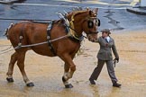 Lord Mayor's Show 2012: Entry 14 - Worshipful Company of Farriers..
Press stand opposite Mansion House, City of London,
London,
Greater London,
United Kingdom,
on 10 November 2012 at 11:06, image #300