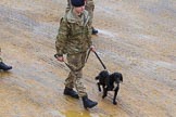Lord Mayor's Show 2012: Entry 53 - 221 Field Squadron (Explosive Ordnance Disposal) (V)..
Press stand opposite Mansion House, City of London,
London,
Greater London,
United Kingdom,
on 10 November 2012 at 11:23, image #705