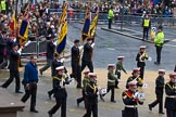 Lord Mayor's Show 2012: Entry 112 - Royal British Legion..
Press stand opposite Mansion House, City of London,
London,
Greater London,
United Kingdom,
on 10 November 2012 at 11:56, image #1605