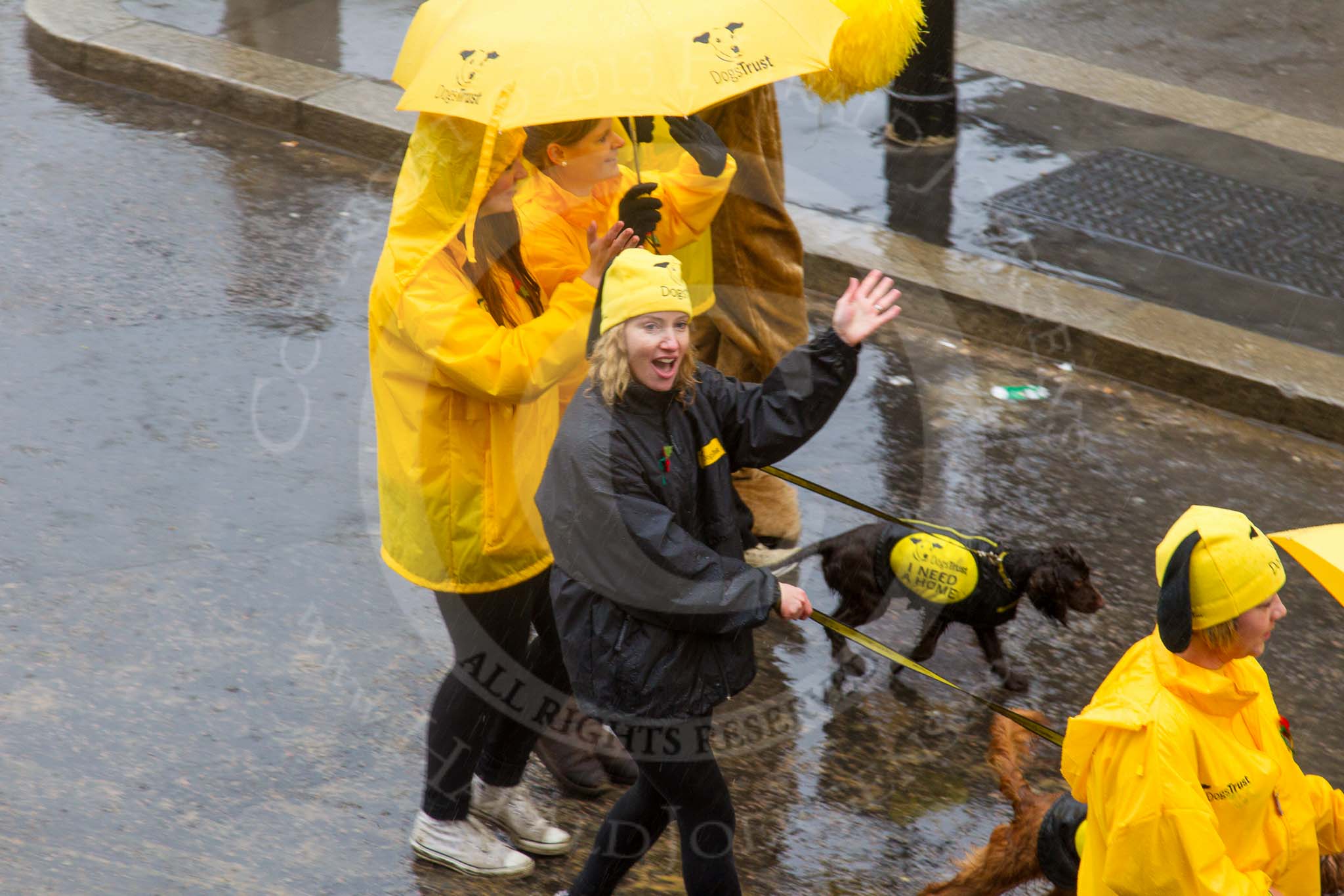 Lord Mayor's Show 2013: 45-Dog Trust- UK's largest dog-welfare charity, which care for more then 16,000 dogs per year..
Press stand opposite Mansion House, City of London,
London,
Greater London,
United Kingdom,
on 09 November 2013 at 11:24, image #571