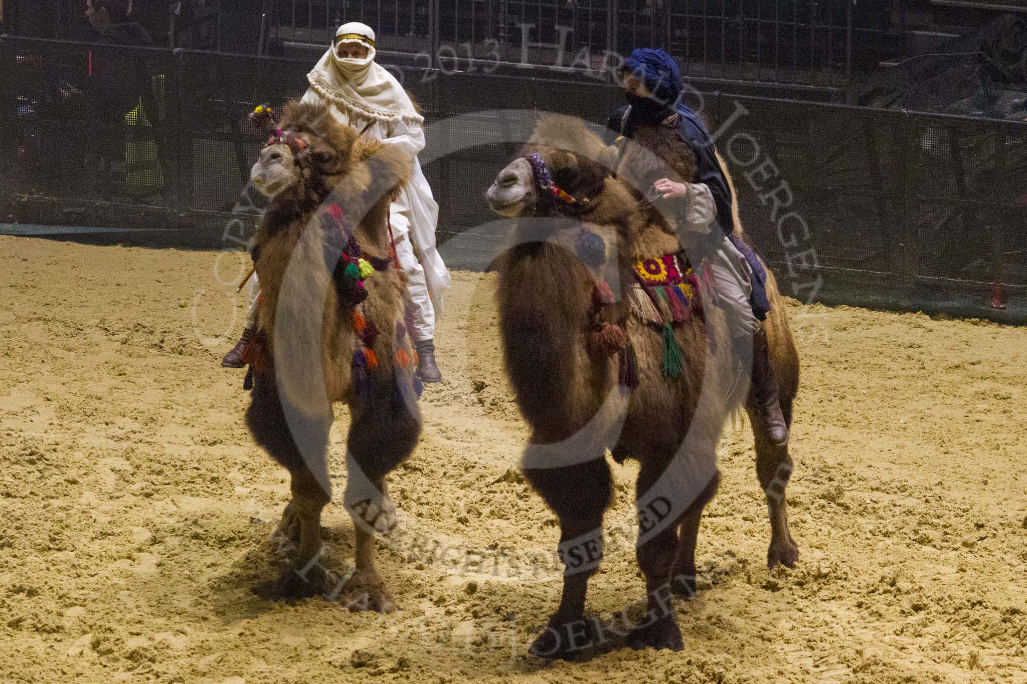 British Military Tournament 2013.
Earls Court,
London SW5,

United Kingdom,
on 06 December 2013 at 16:51, image #497