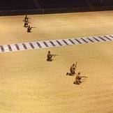 British Military Tournament 2013.
Earls Court,
London SW5,

United Kingdom,
on 06 December 2013 at 15:02, image #80