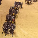 British Military Tournament 2013.
Earls Court,
London SW5,

United Kingdom,
on 06 December 2013 at 15:20, image #194