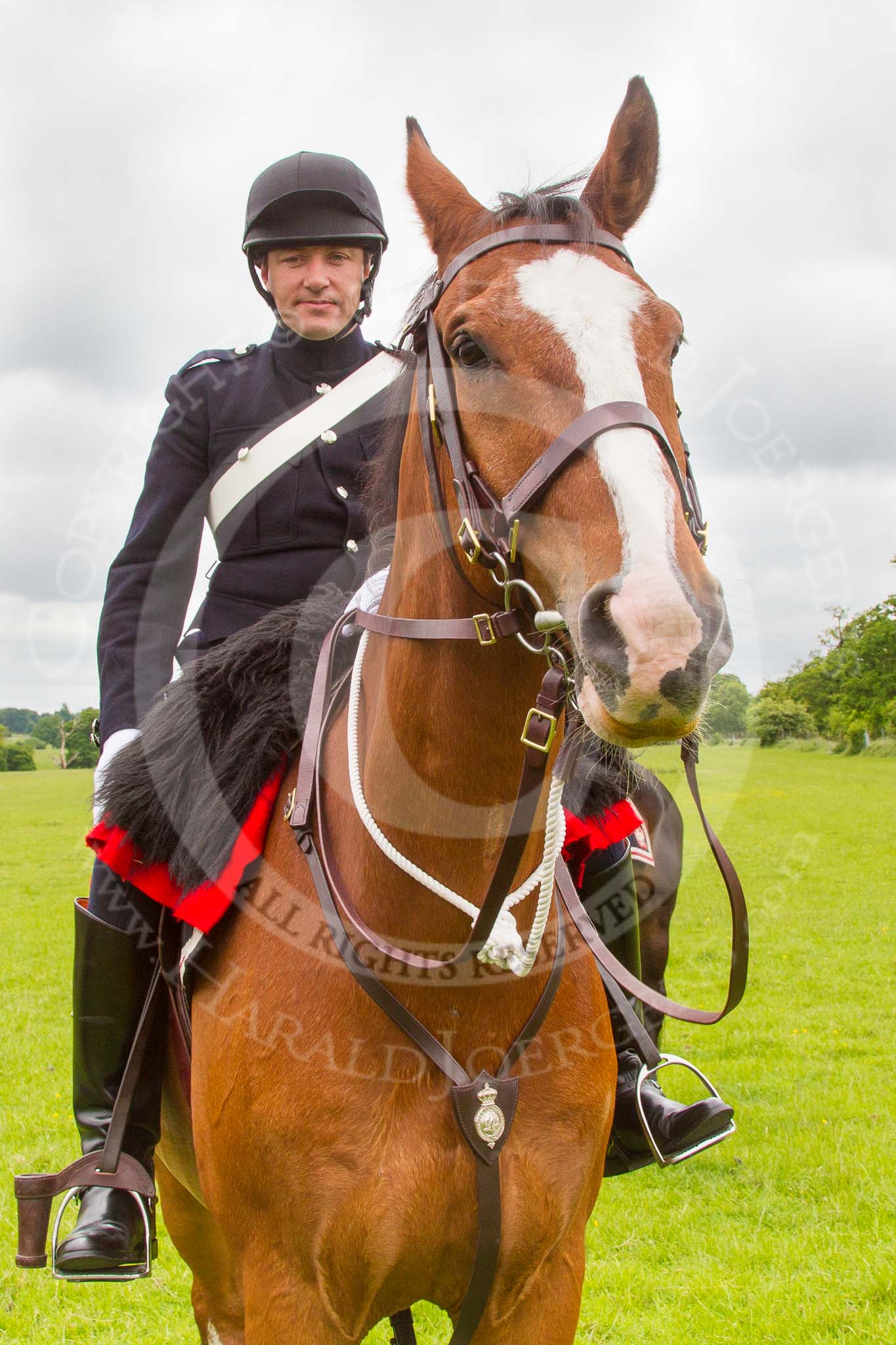 The Light Cavalry HAC Annual Review and Inspection 2013.
Windsor Great Park Review Ground,
Windsor,
Berkshire,
United Kingdom,
on 09 June 2013 at 12:45, image #245