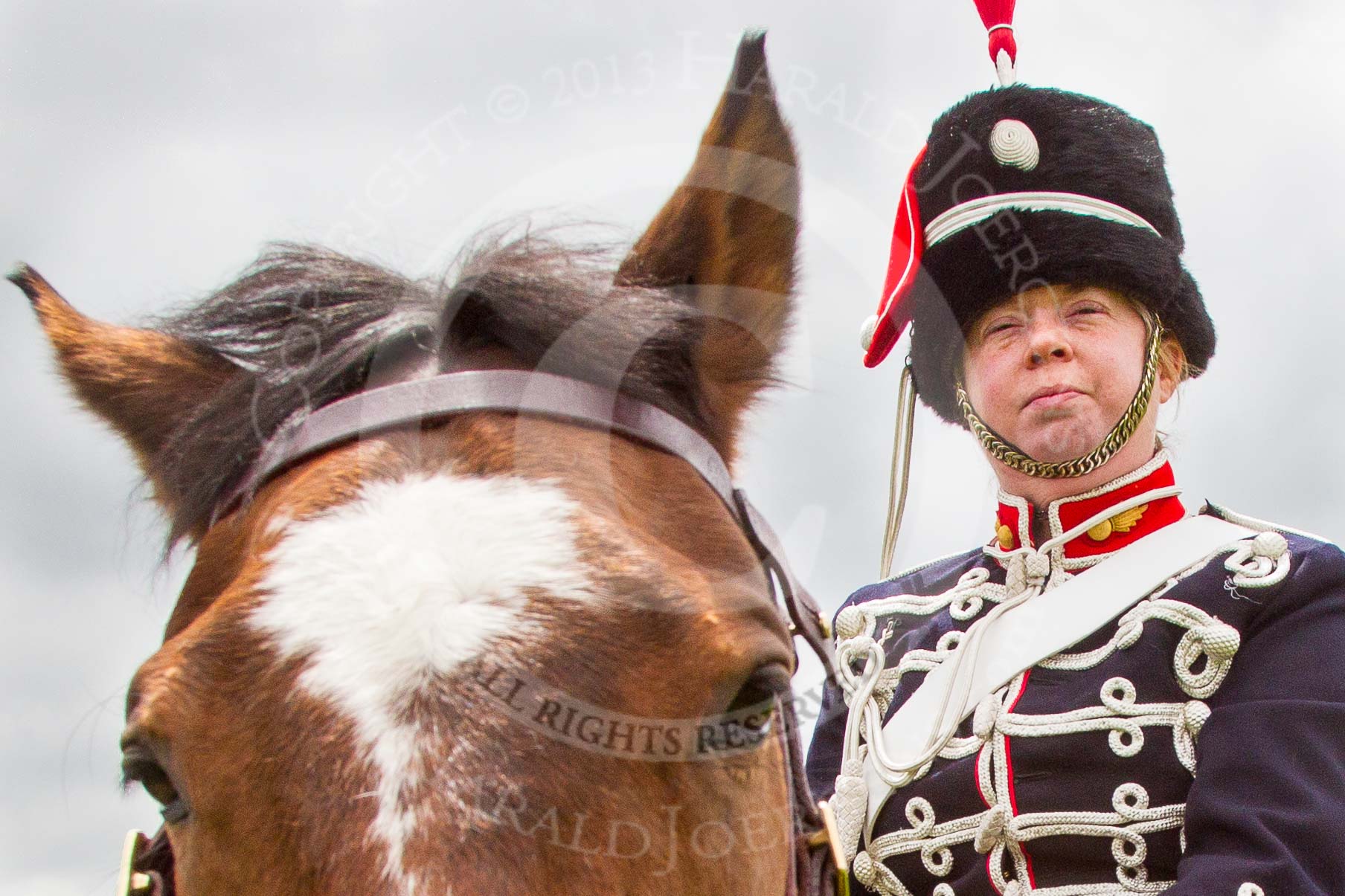 The Light Cavalry HAC Annual Review and Inspection 2013.
Windsor Great Park Review Ground,
Windsor,
Berkshire,
United Kingdom,
on 09 June 2013 at 12:46, image #248