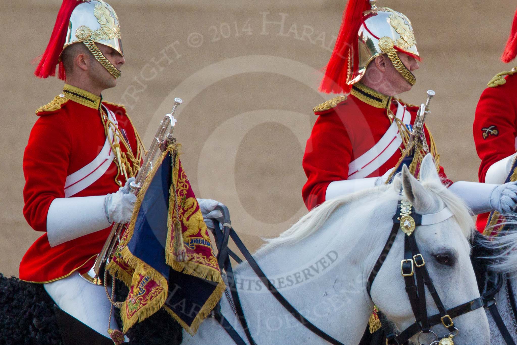 Beating Retreat 2014.
Horse Guards Parade, Westminster,
London SW1A,

United Kingdom,
on 11 June 2014 at 20:17, image #76