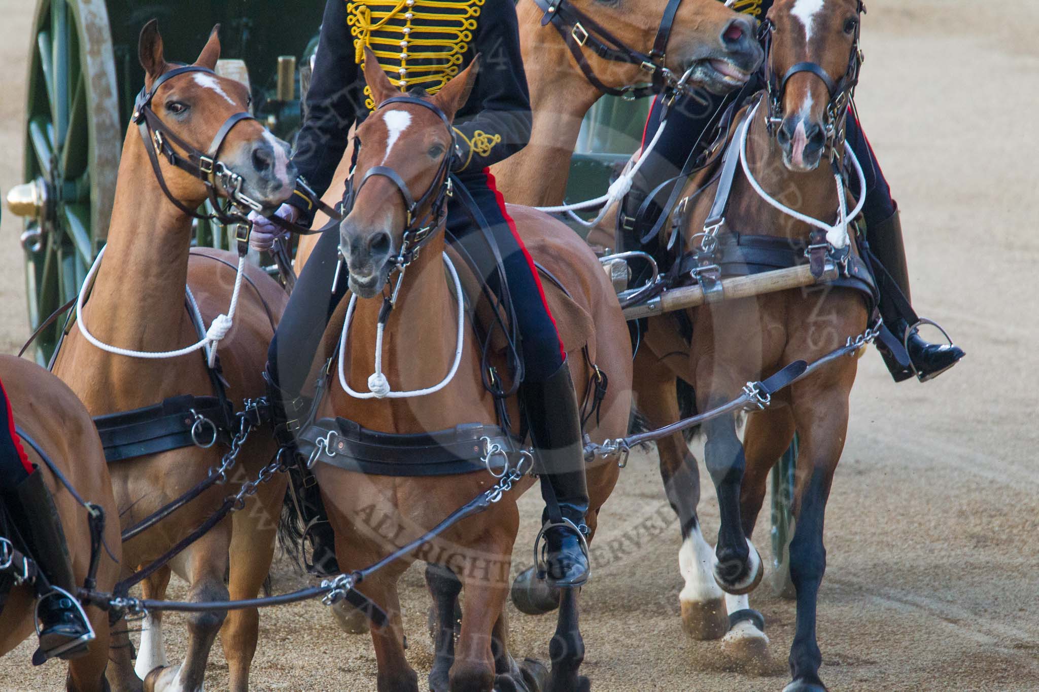 Beating Retreat 2014.
Horse Guards Parade, Westminster,
London SW1A,

United Kingdom,
on 11 June 2014 at 20:44, image #184