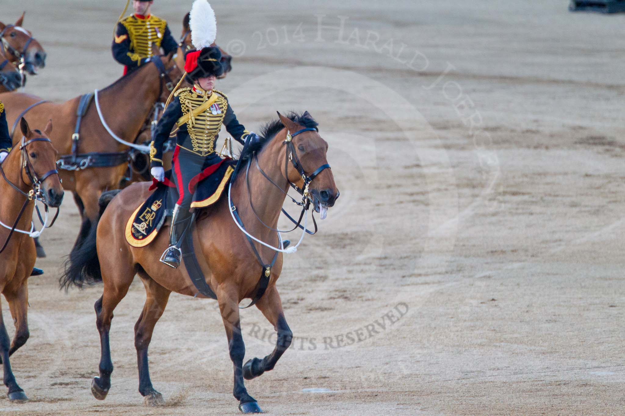 Beating Retreat 2014.
Horse Guards Parade, Westminster,
London SW1A,

United Kingdom,
on 11 June 2014 at 20:50, image #209