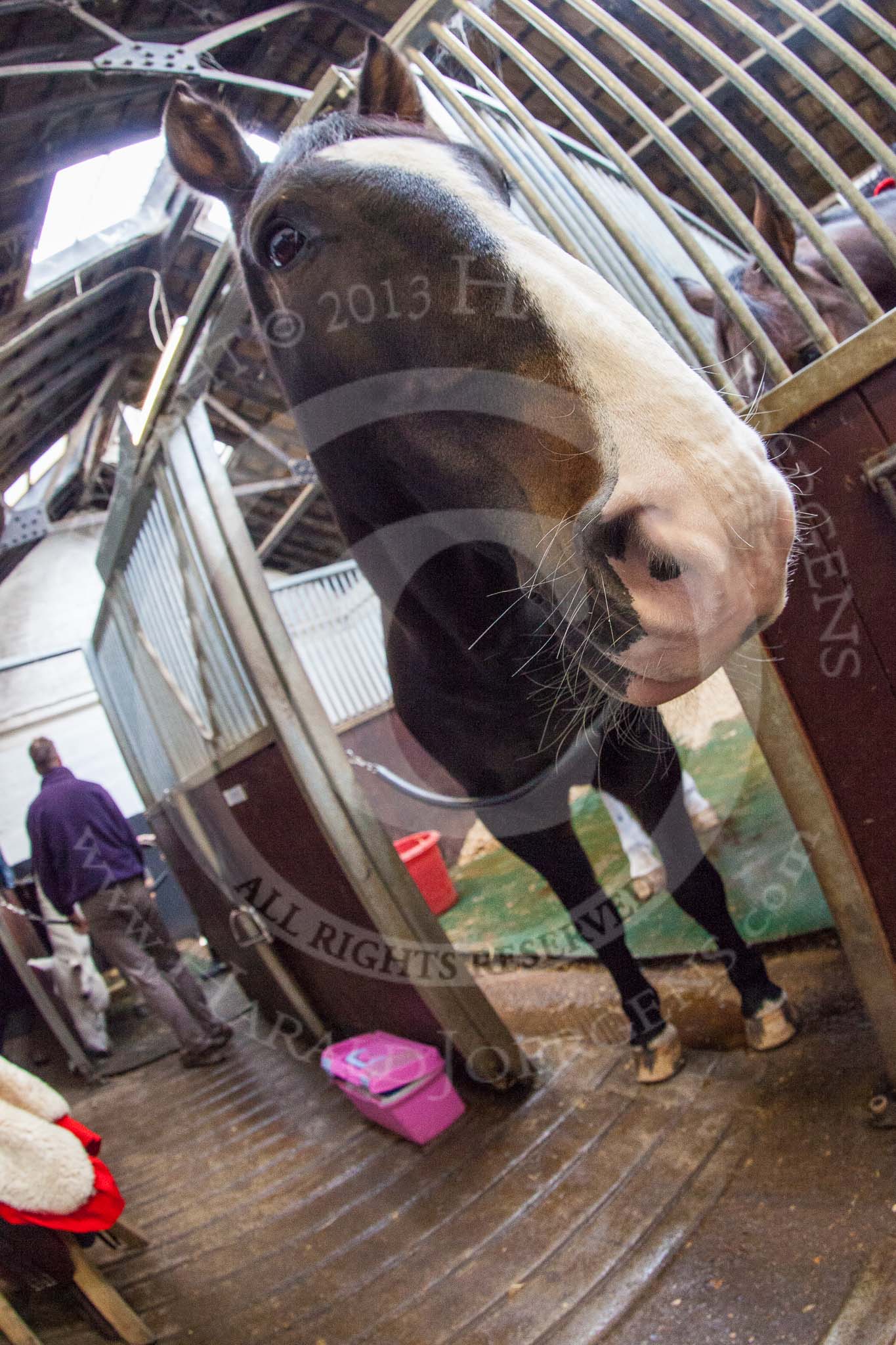 The Light Cavalry HAC Annual Review and Inspection 2014.
Flemish Farm, Windsor Great Park,



on 12 October 2014 at 09:52, image #15