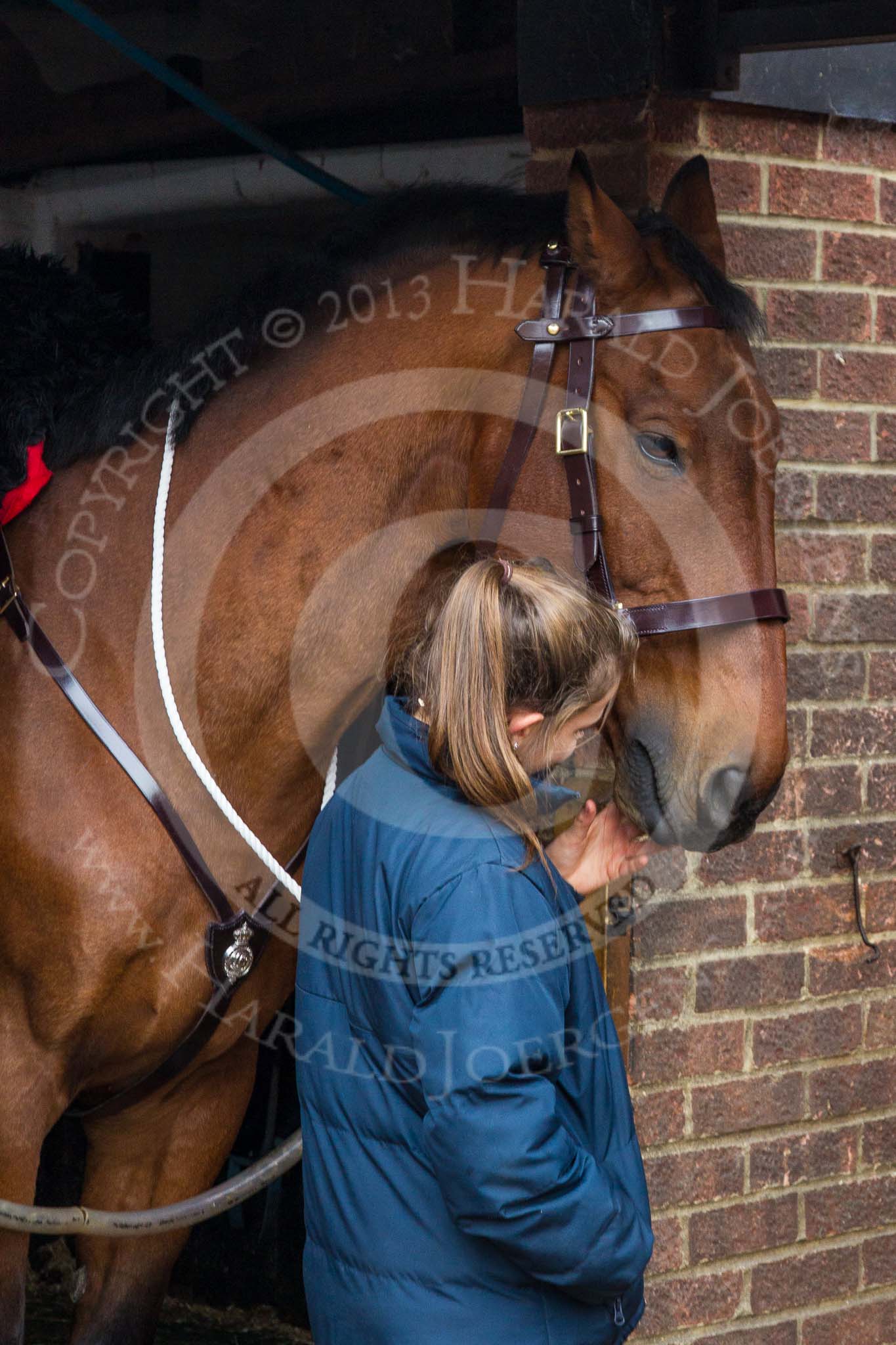 The Light Cavalry HAC Annual Review and Inspection 2014.
Flemish Farm, Windsor Great Park,



on 12 October 2014 at 10:03, image #20