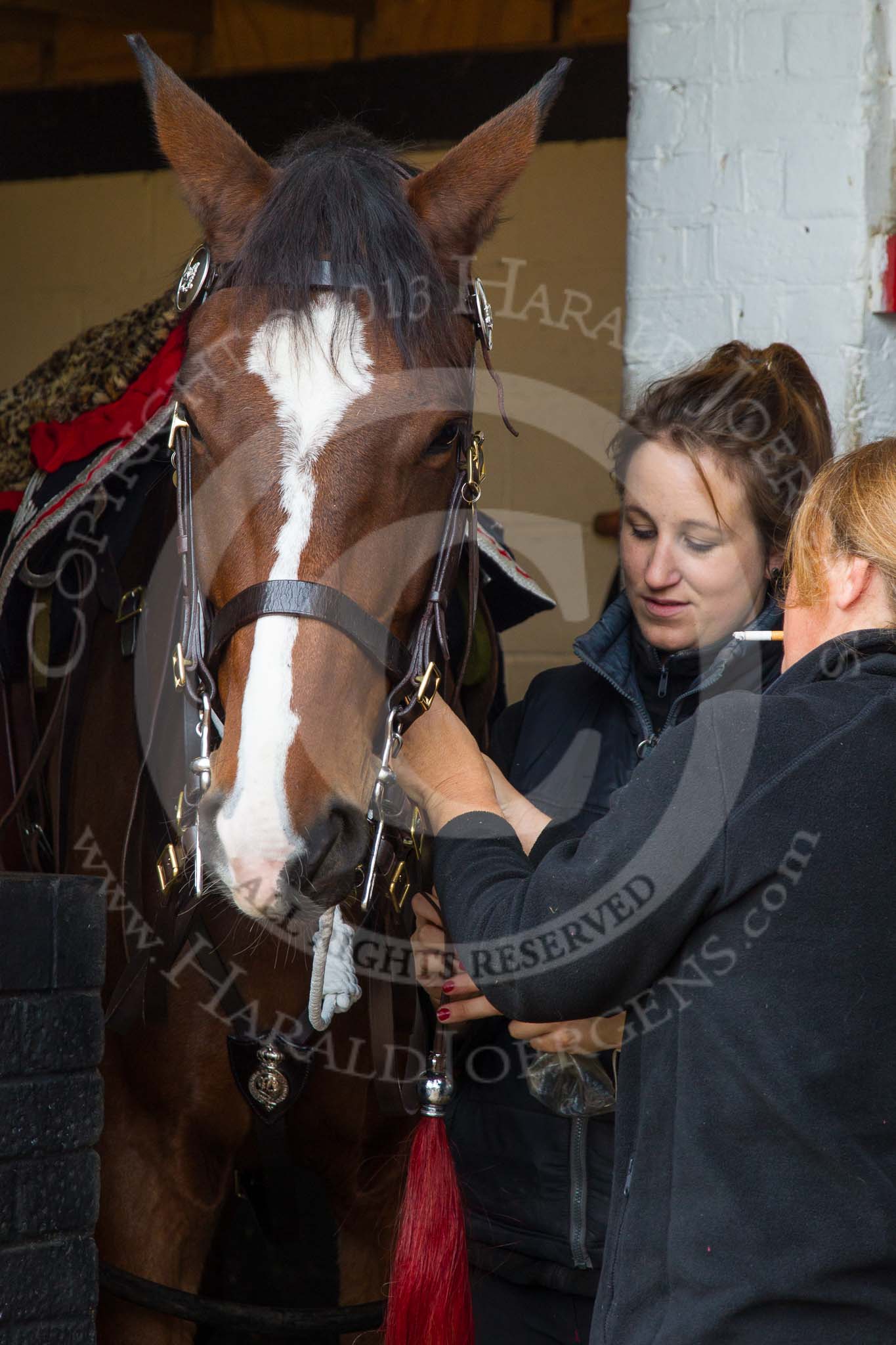 The Light Cavalry HAC Annual Review and Inspection 2014.
Flemish Farm, Windsor Great Park,



on 12 October 2014 at 10:13, image #24