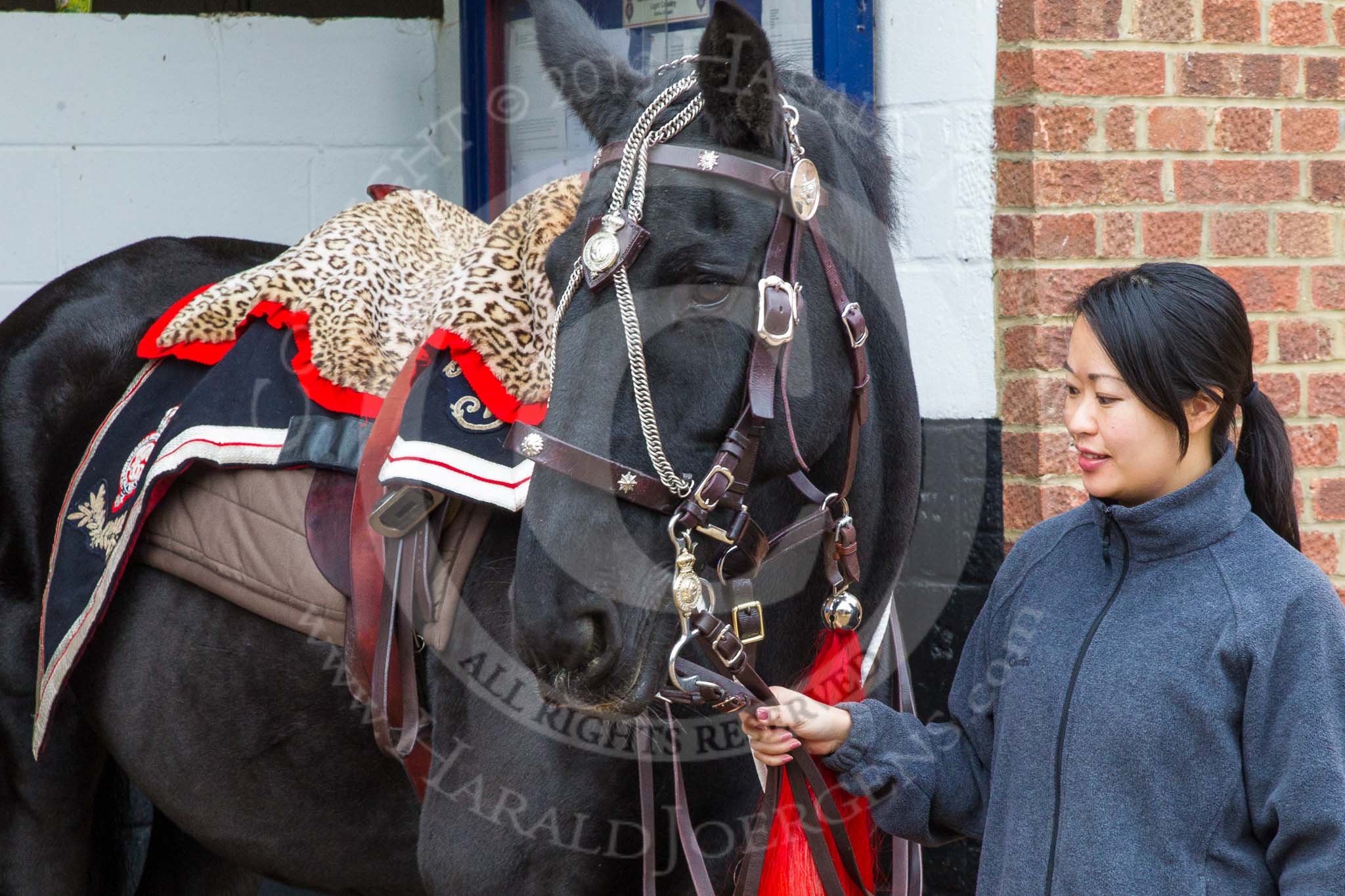 The Light Cavalry HAC Annual Review and Inspection 2014.
Flemish Farm, Windsor Great Park,



on 12 October 2014 at 10:19, image #29