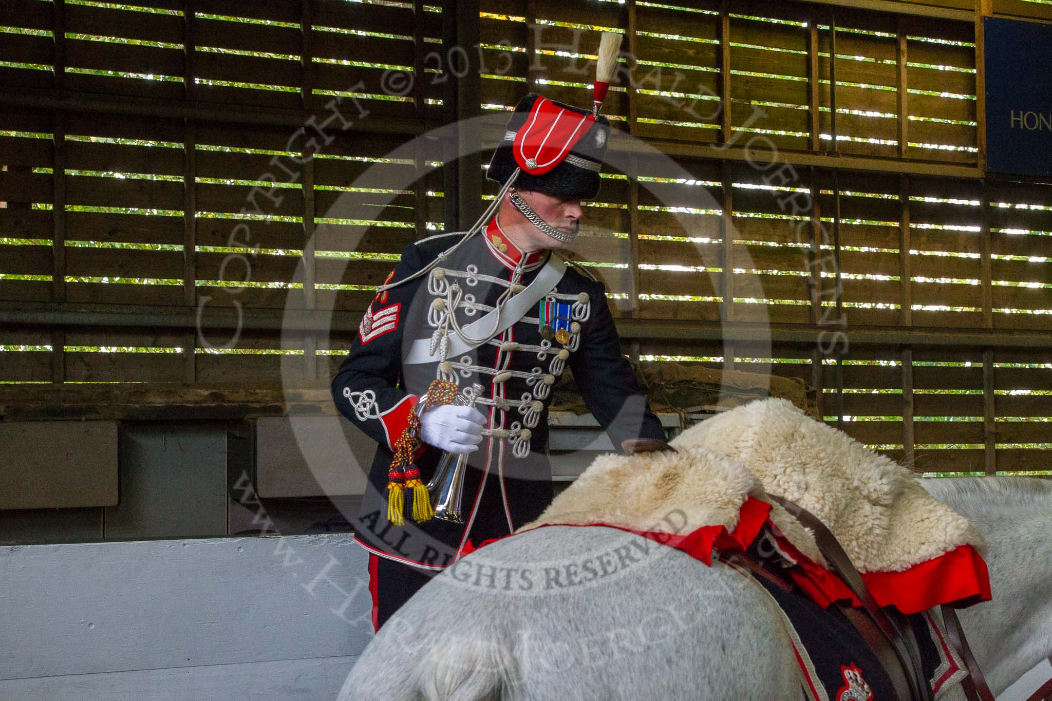 The Light Cavalry HAC Annual Review and Inspection 2014.
Flemish Farm, Windsor Great Park,



on 12 October 2014 at 10:24, image #32