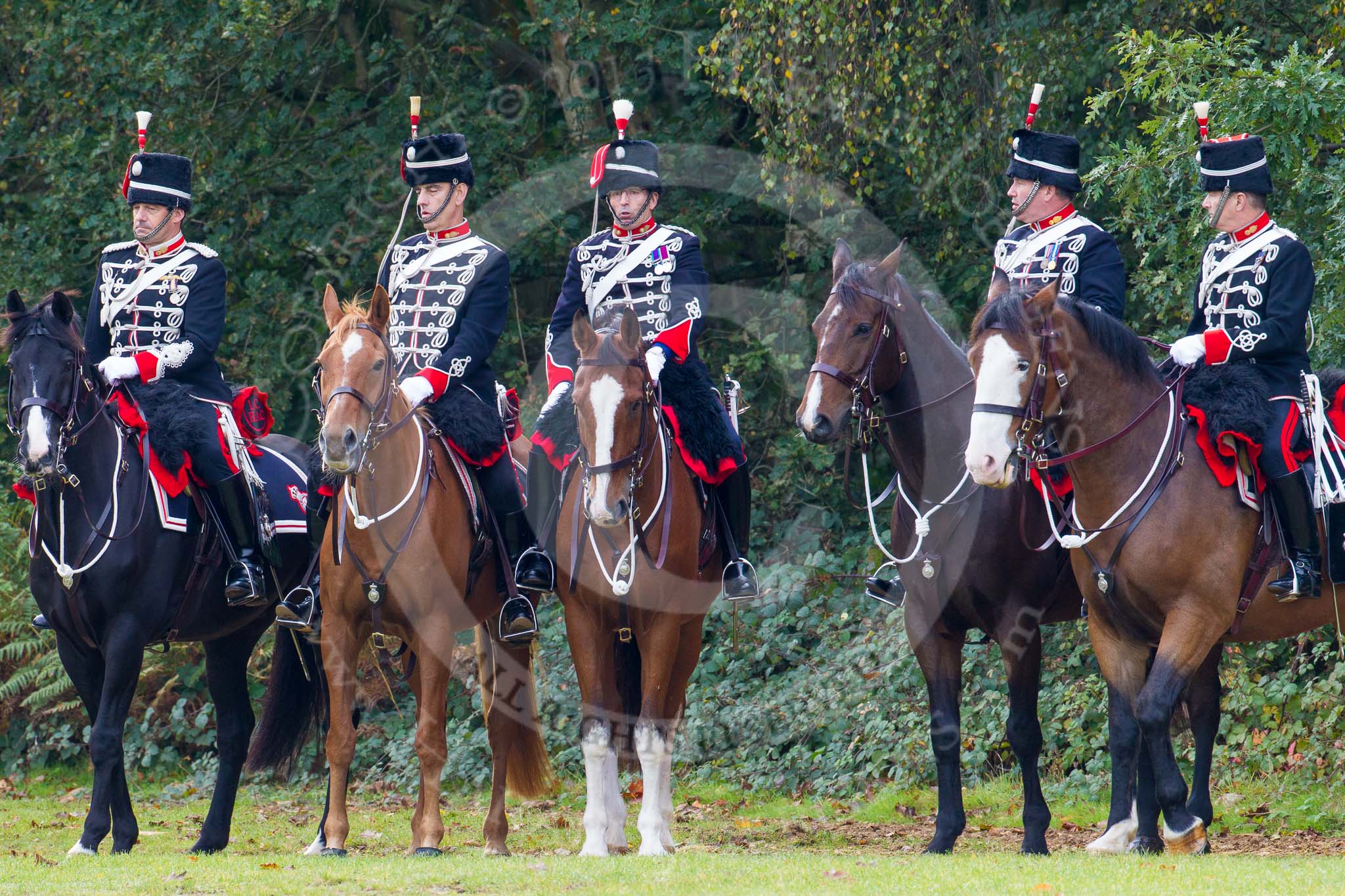 The Light Cavalry HAC Annual Review and Inspection 2014.
Guards Polo Club. Windsor Great Park,



on 12 October 2014 at 12:26, image #62