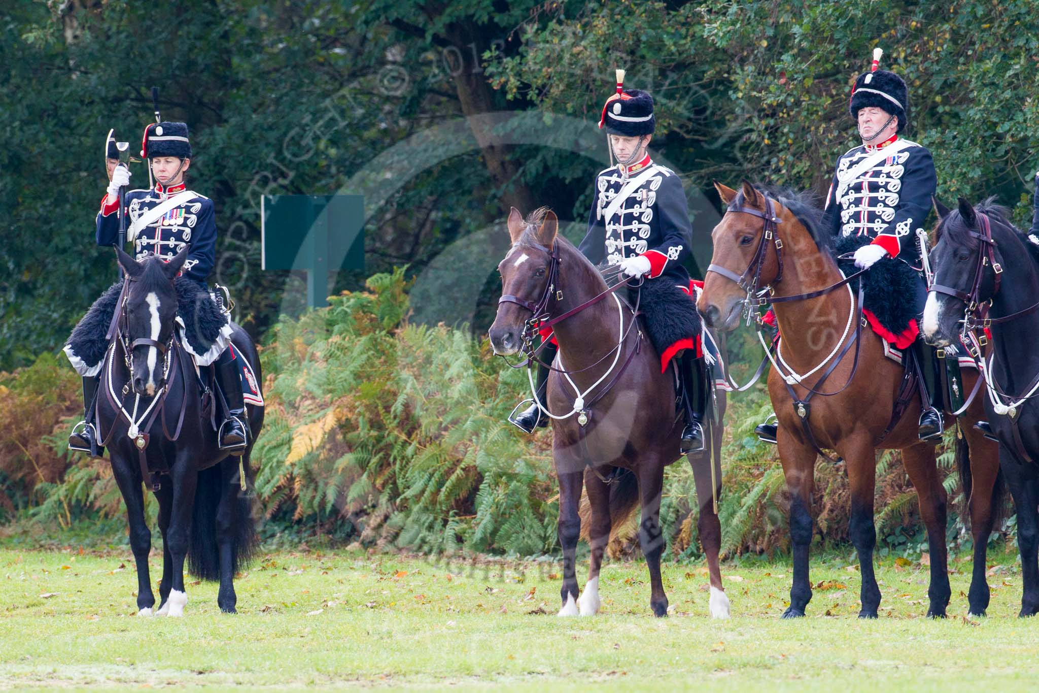 The Light Cavalry HAC Annual Review and Inspection 2014.
Guards Polo Club. Windsor Great Park,



on 12 October 2014 at 12:26, image #64