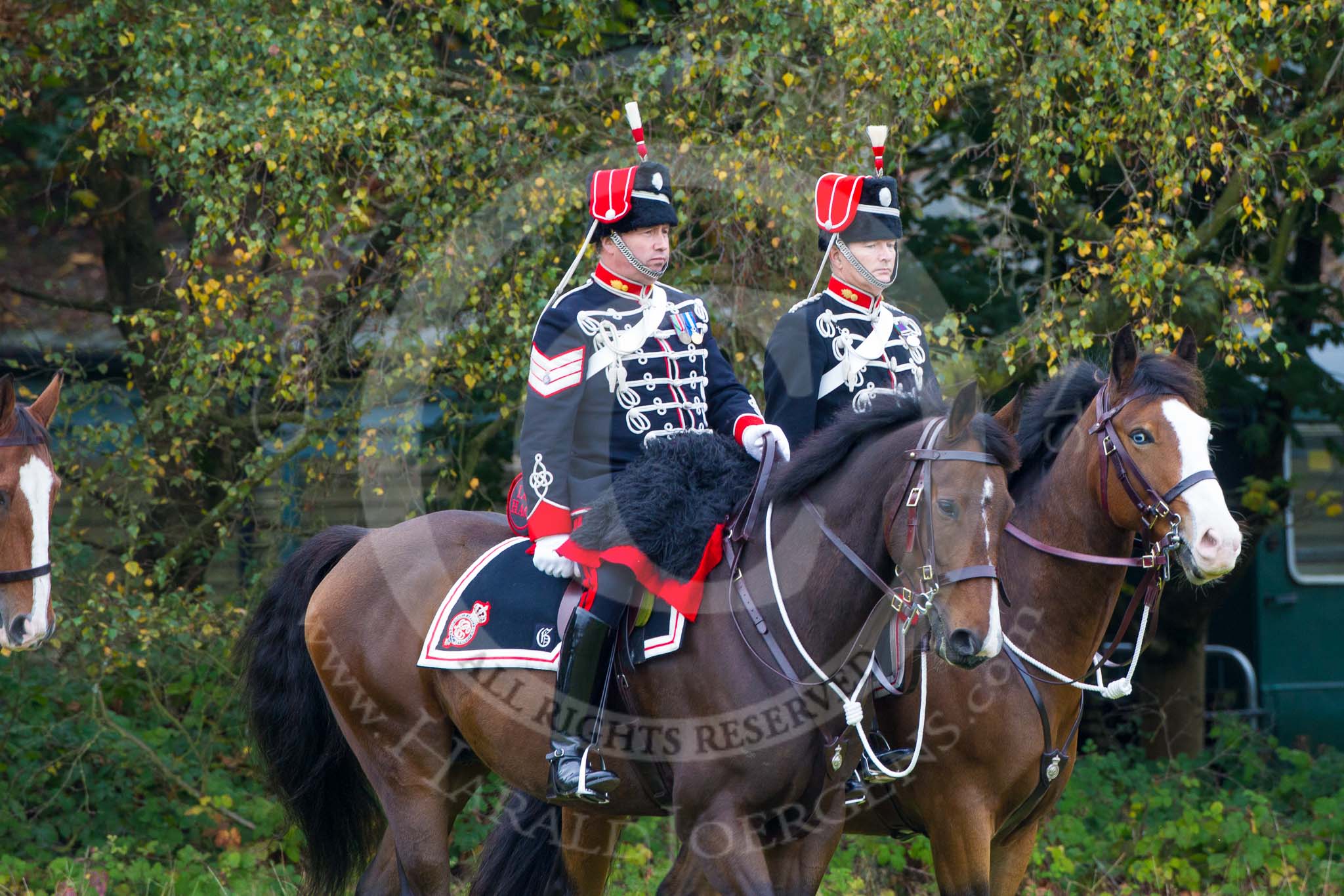 The Light Cavalry HAC Annual Review and Inspection 2014.
Guards Polo Club. Windsor Great Park,



on 12 October 2014 at 12:42, image #87