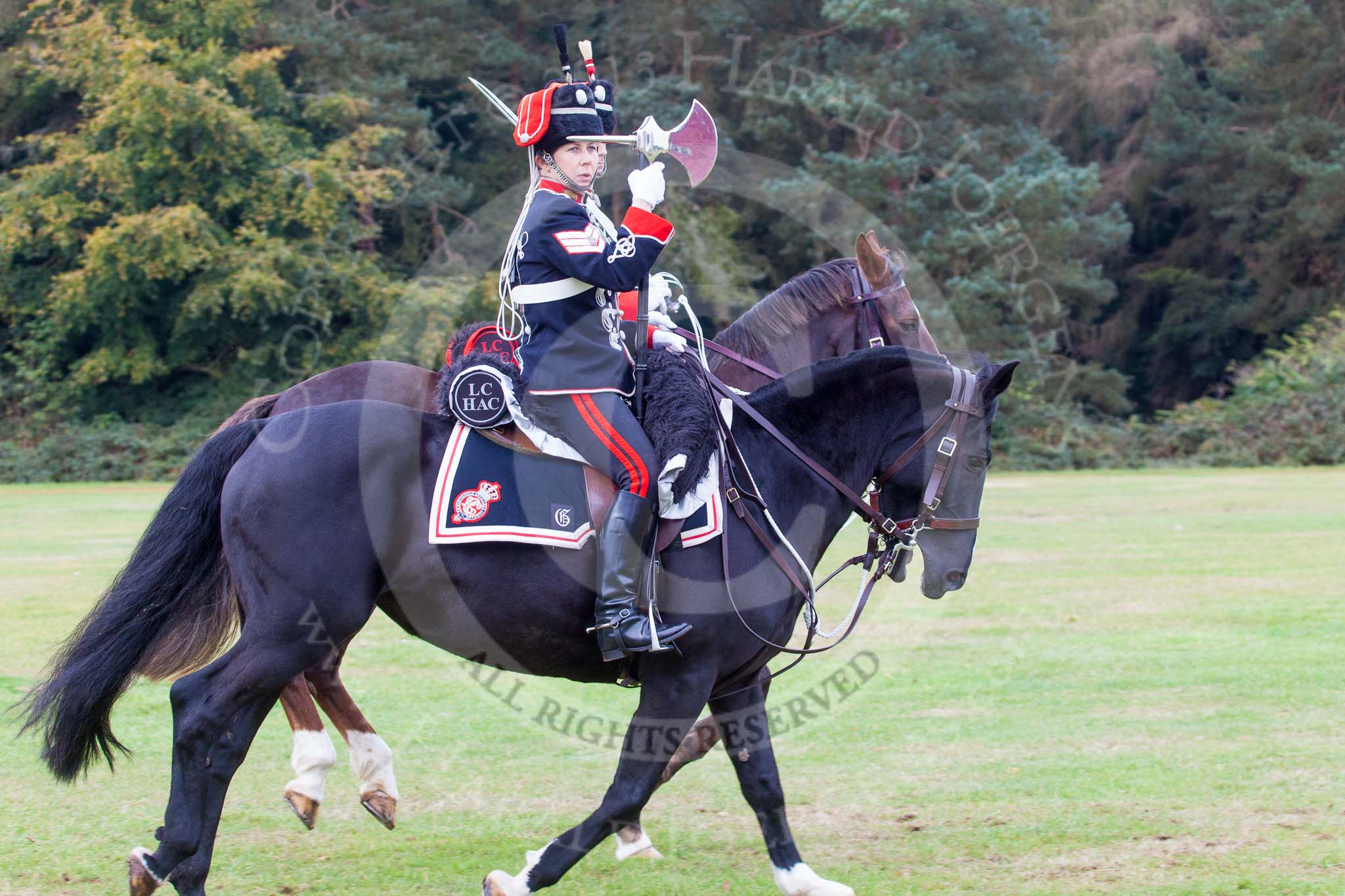 The Light Cavalry HAC Annual Review and Inspection 2014.
Guards Polo Club. Windsor Great Park,



on 12 October 2014 at 13:09, image #193