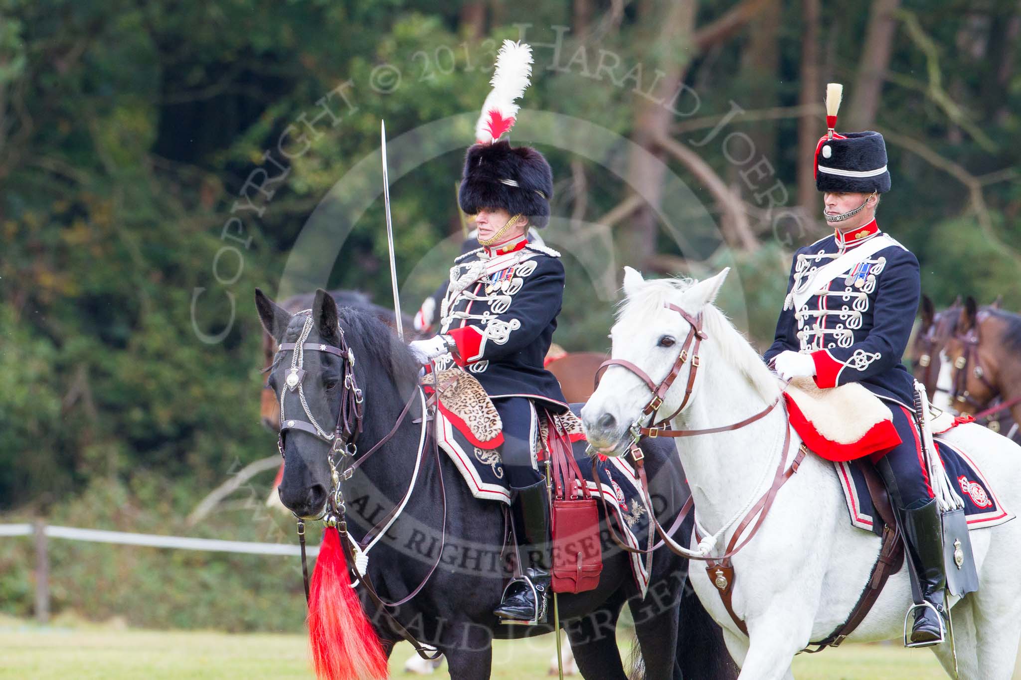 The Light Cavalry HAC Annual Review and Inspection 2014.
Guards Polo Club. Windsor Great Park,



on 12 October 2014 at 13:09, image #194