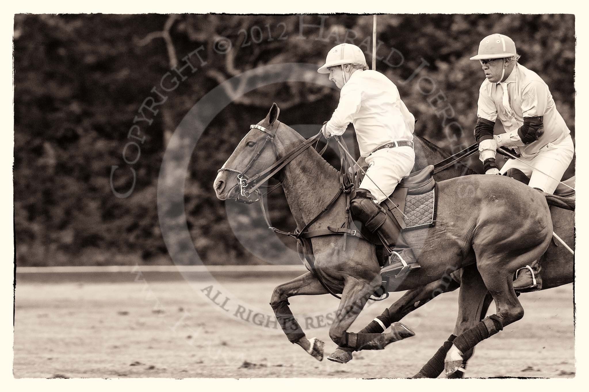 7th Heritage Polo Cup semi-finals: Paul Oberschneider Polo Patron of La Golondrina Argentina on the ball..
Hurtwood Park Polo Club,
Ewhurst Green,
Surrey,
United Kingdom,
on 04 August 2012 at 15:38, image #257